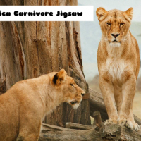 Africa Carnivore Jigsaw