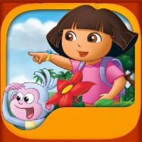 Dora Memory Challenge