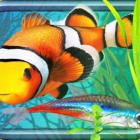 Fish Farm - Aquarium Simulator