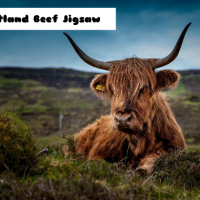 Scotland Beef Jigsaw